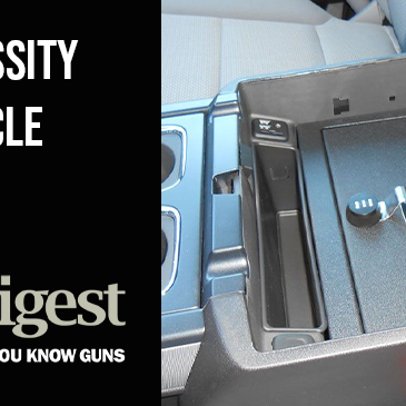 Why You Need A Vehicle Gun Safe