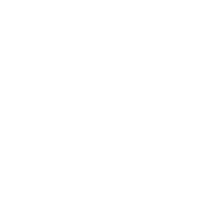 4.9/5 Star Rating (2,300+ Reviews)